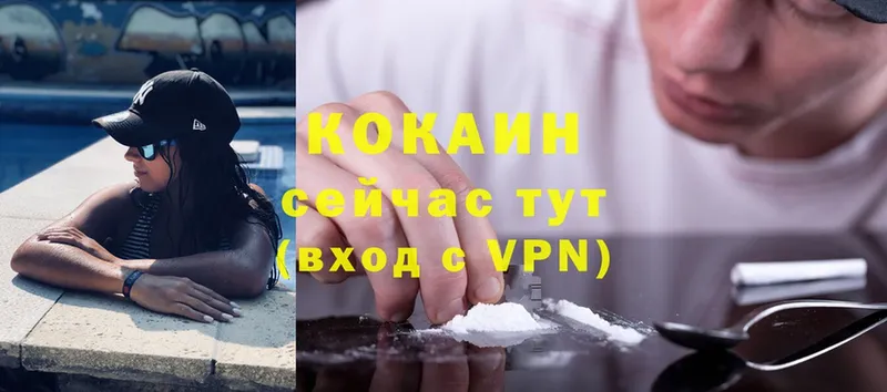 Cocaine Fish Scale  блэк спрут онион  Тюкалинск 